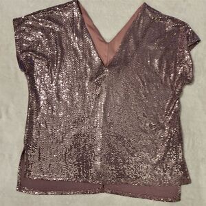 Caramela Rose Gold Women's V-Neck Sequin Blouse Multicolor Short Sleeve Size L